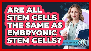 Are All Stem Cells The Same As Embryonic Stem Cells? - Everyday Bioethics Expert