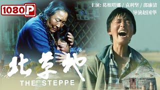 《#北草地》/ The Steppe 太残忍！继父对母亲多次施暴  陕北少年最终失手将继父打死 （葛根塔娜 / 袁利坚 / 邵廉清）