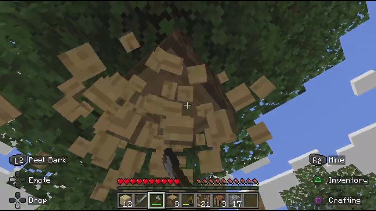 قيم مينكرفت