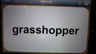 TOP FREE FLASH CARDS APP FOR 2014 MY FIRST WORDS REVIEWED ON APPLE IPHONE 5 screenshot 4