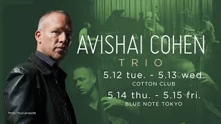 AVISHAI COHEN TRIO - From Darkness -: COTTON CLUB JAPAN 2015 trailer