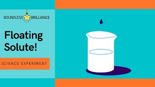 Floating Solute | Easy Science Experiment for Kids!