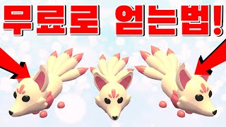 입양하세요 구미호 무료로 얻는법!!! 공짜로 뿌린다고??!