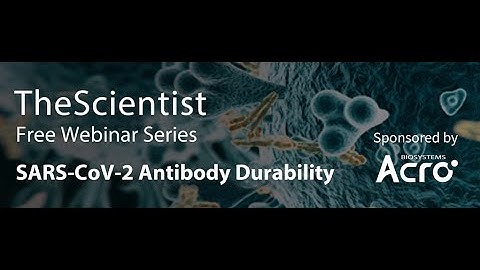 The-Scientist Webinar: SARS CoV 2 Antibody Durability Video