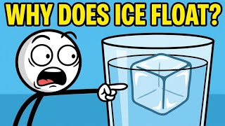 Why Does Ice Float Instead of Sink? 🧊💧