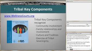 Tribal Justice Webinar- Healing to Wellness Courts Key Components & Standards (May 25, 2017)