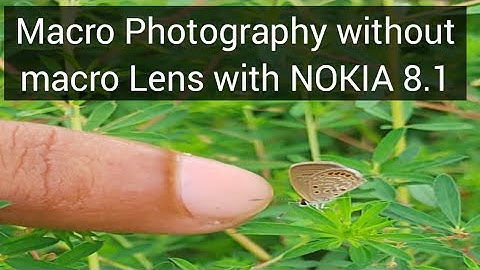 How to shoot Macro photos with Nokia 8.1|without macro Lens|#Macrophotography