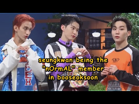 seungkwan being the "normal" member in booseoksoon (bss)