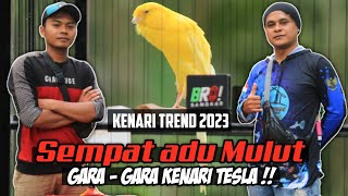 Trend 2023❗Kenari TESLA kembali Tampil || Bongkok,Volume,Goyang ✅ || Ring PC sala3