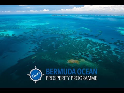 Waitt Bermuda Ocean Prosperity Programme