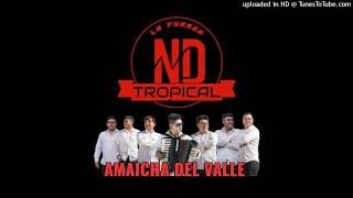 Video thumbnail of "NÉSTOR DAVID Y LA FUERZA TROPICAL"