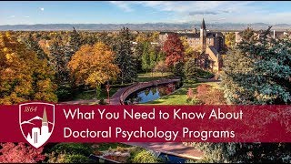 What You Need to Know About Psychology Doctoral Programs