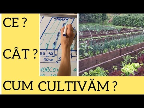 Video: 3 moduri de a păstra buruienile în afara grădinii dvs. de legume