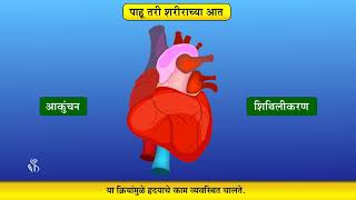 4th EVS 1 | Chapter#11 | Topic#04 | ह्दय | Marathi Medium