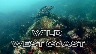 Winter Spearfishing and Sauna Sessions - Sea Cucumber CCC