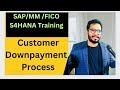 'Customer Downpayment' Process in SAP-Customer Down Payments Clearing-SAP Training by Chanu SK