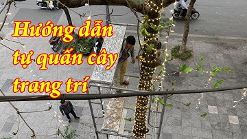 Hướng dẫn chi tiết trang trí quấn cây bằng led đúc F5 tại nhà | Ai cũng làm được