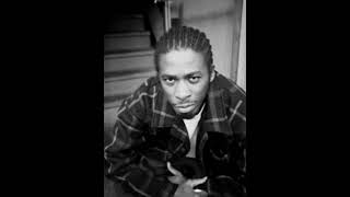 GZA : SHADOWBOXIN' FT METHOD MAN 《 DVE REMIX 》