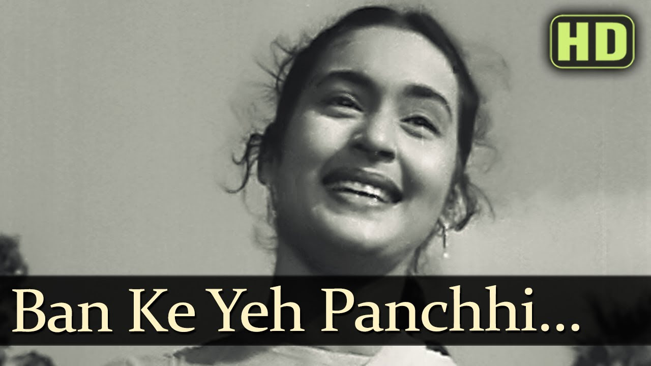 Yeh Panchhi   Raj Kapoor   Nutan   Anari   Lata Mangeshkar   Evergreen Hindi Songs