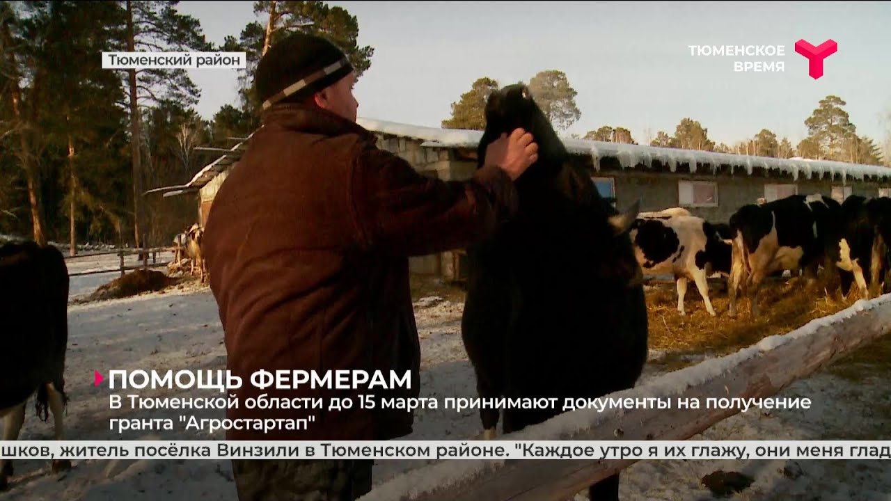 Агростартап условия получения гранта