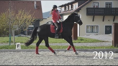 our development {2010-2013}