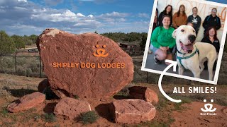 Shipley Dog Lodges | new stateoftheart facility opens at Best Friends Animal Sanctuary