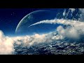 Camellia - farewell to today