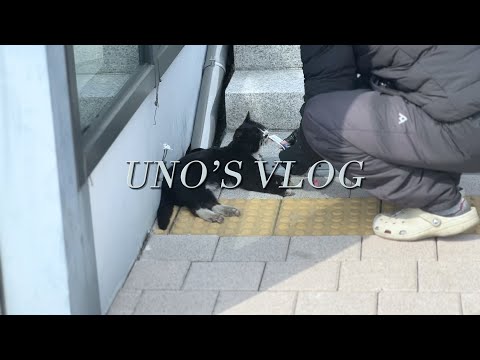 대학교 브이로그 VLOG | 대학교 3학년의 개강 초 브이로그 • 토익 공부 • 블로에서 프리미어 프로로 편집 프로그램 바꾸기