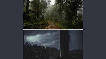 Pulsating Music for Foggy Days