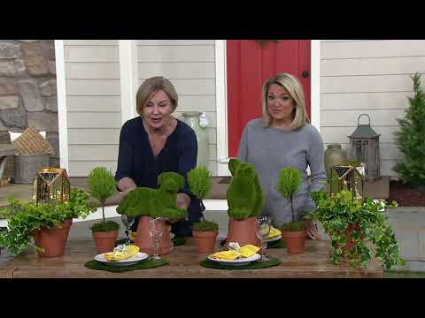 barbara-king-sculptured-faux-moss-animal-on-qvc