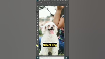 How to change dog colour in photoshop #photoshopshort #mrgraphics
