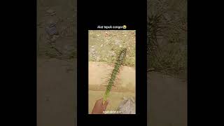 Download Lagu Alat tapuk congor Tonggo ceriwes MP3