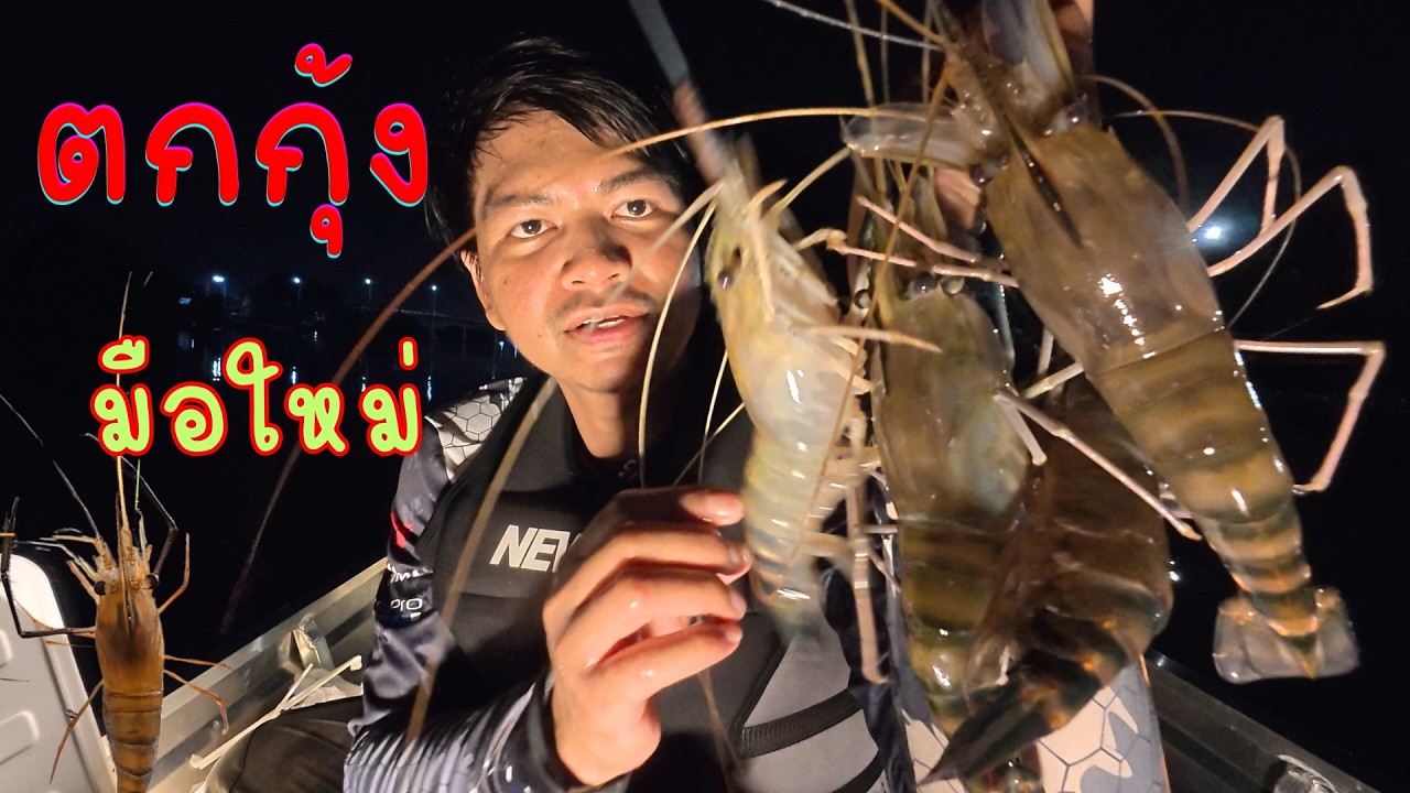 EP.4 ตกกุ้งแม่น้ำ กุ้งใหญ่ Prawn Fishing