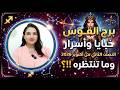                                                                                                  حالتي