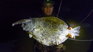 道南でヒラメを効率よく釣るための時期とポイントを考える