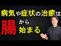 ほぼ全ての病気や症状の治癒は腸から始まる！【自然療法士 ルイ】