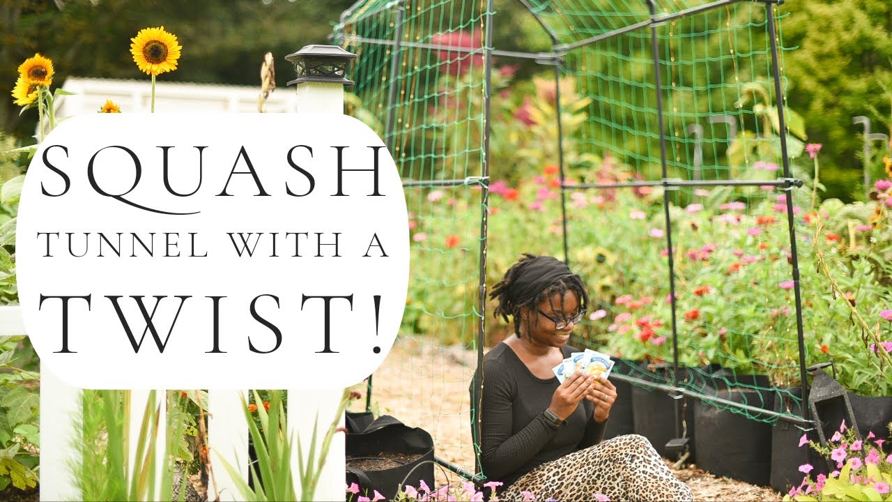 Planting A Squash Grow Bag Tunnel for the Fall Garden YouTube