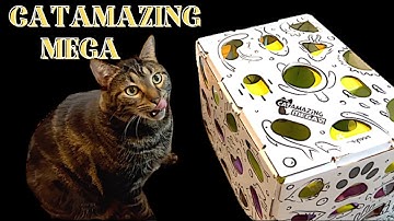 Unleash the hunter CATAMAZING MEGA puzzle box cat toy