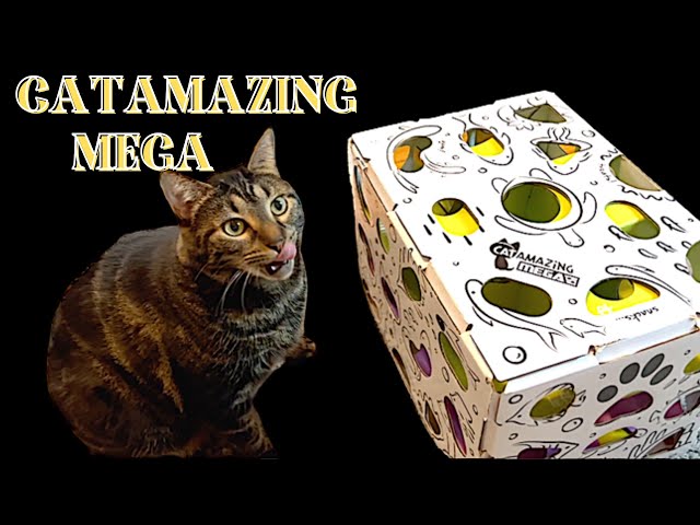 MEGA – Cat Amazing