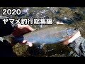 2020 ヤマメ釣行総集編