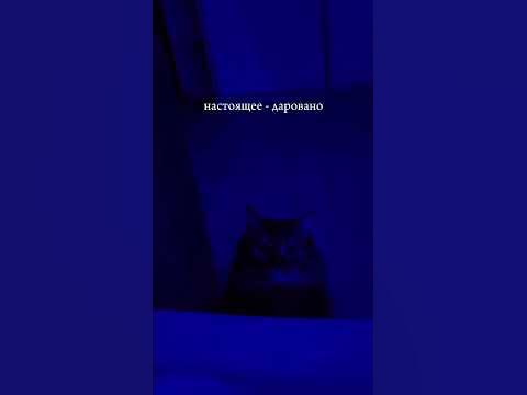 (с) мастер Угвей, Кунг-фу Панда 🌠 - YouTube