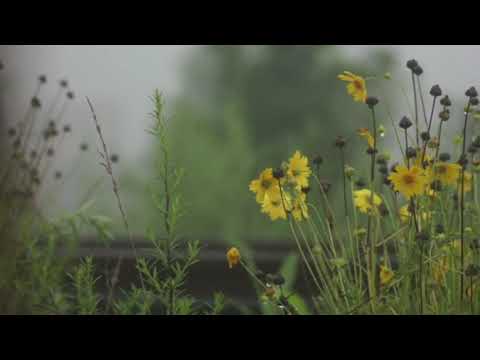 ث م ن ن ج ي ال ذ ين ات ق وا و ن ذ ر الظ ال م ين ف يه ا ج ث ي ا