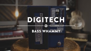 Digitech Bass Whammy | Reverb Demo Video