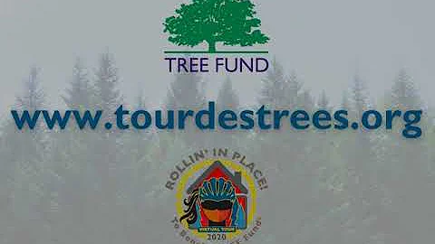 Tour des Trees: Rollin in Place - Kathleen Wolf