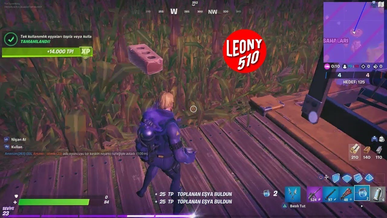 Özel fortnite dış görünümleri indir