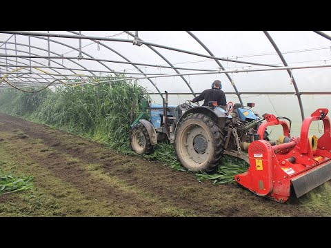 Video: 11 Neparedzētas Sastāvdaļas Augsnes Mēslošanai