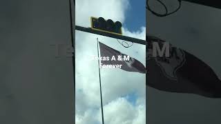 Texas A&M University