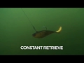 Swimming Action Storm Wild Eye Swim Shad mp3
