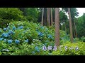 TOKYO【Private Residence】Minamisawa Ajisai Mountain - created by Mr. Chuich Minamizawa. #南沢あじさい山 #4K