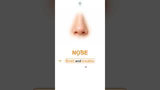 “Learn English in 10 seconds! NOSE 👃”